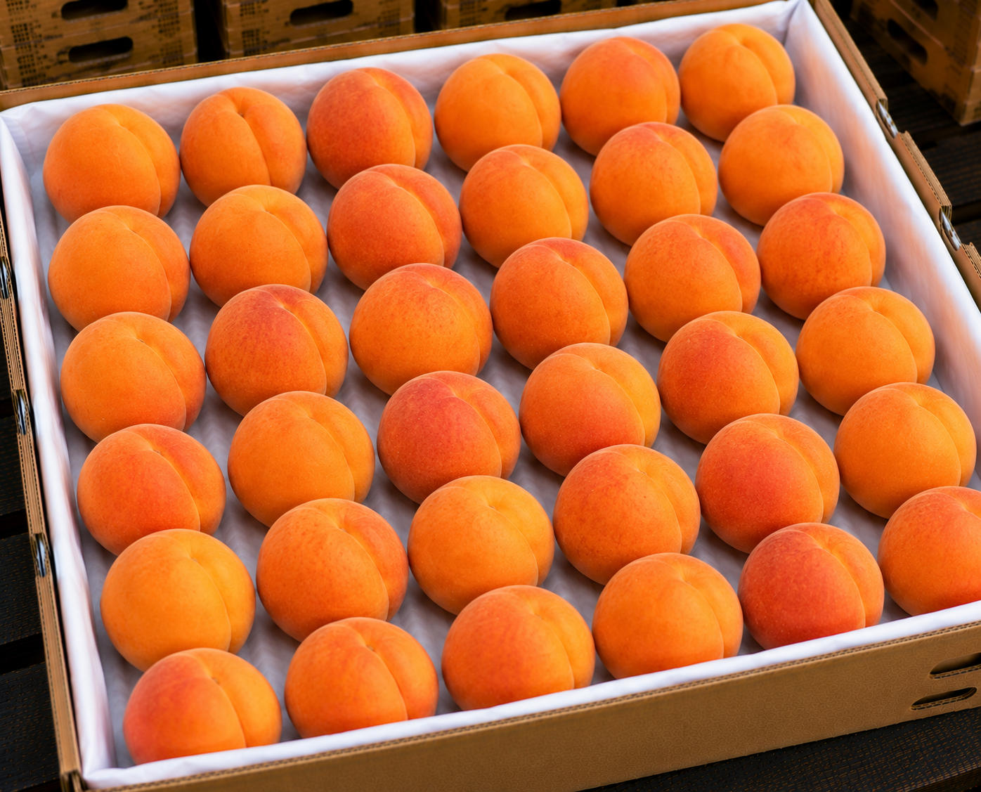 Apricots