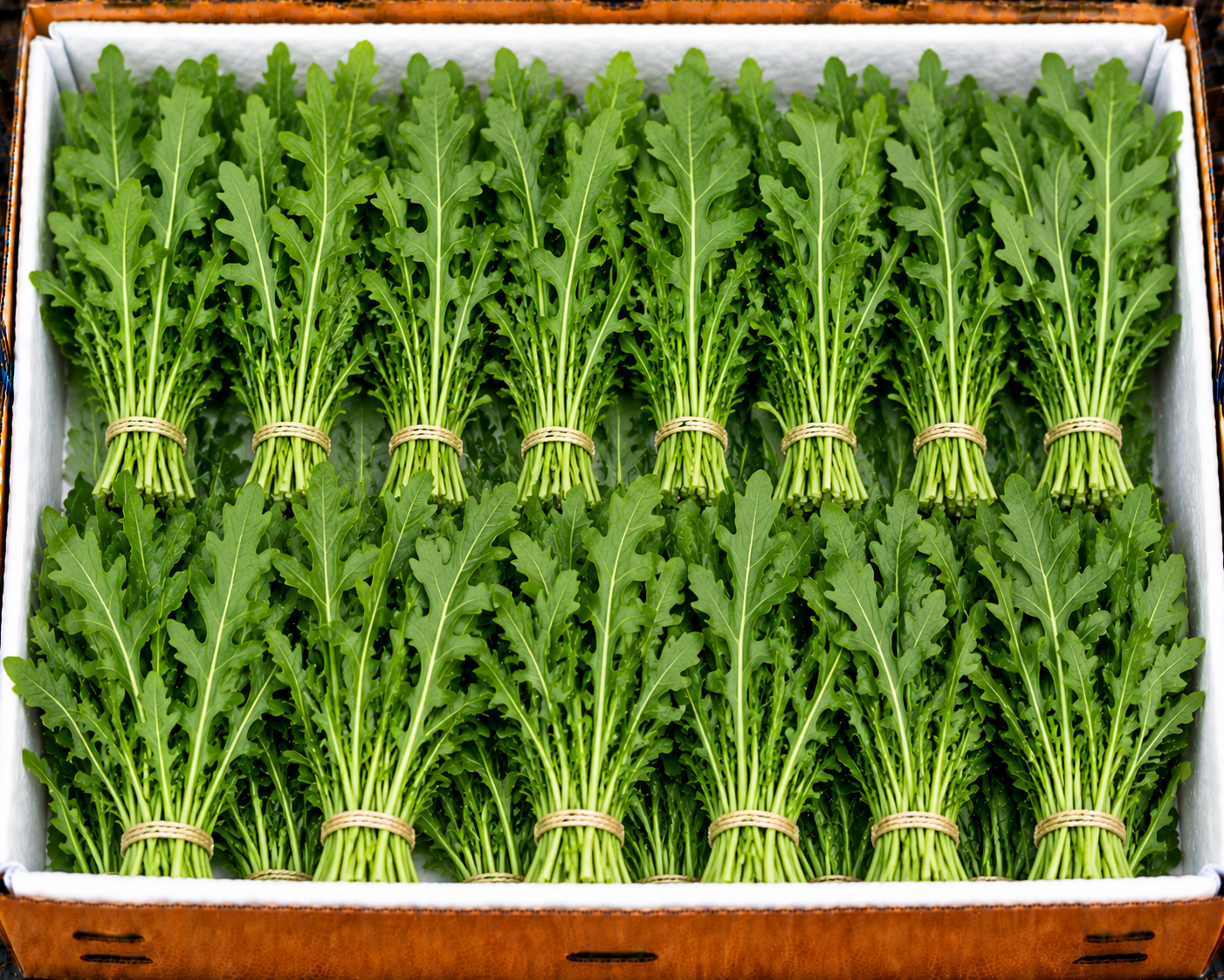 Arugula
