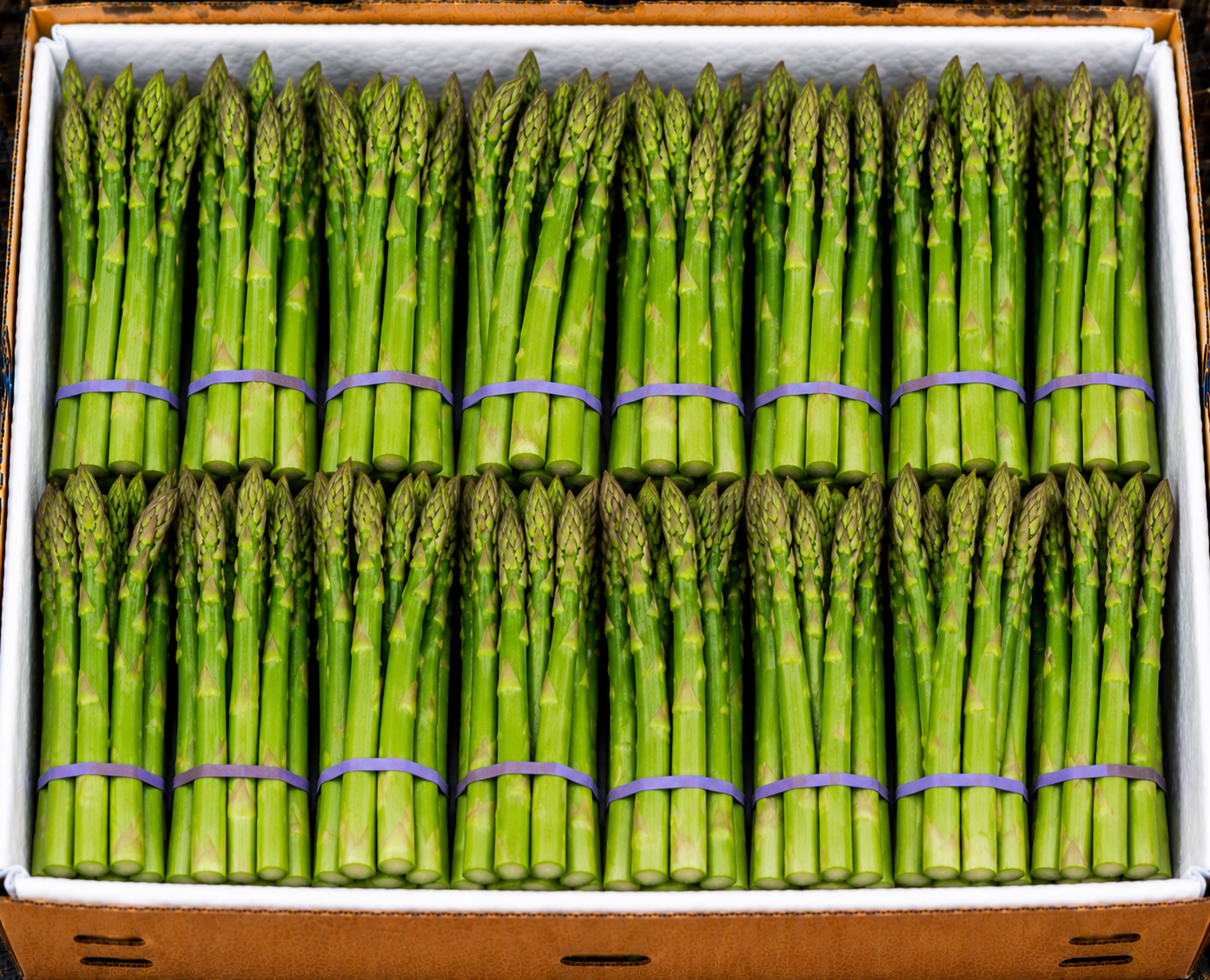 Asparagus
