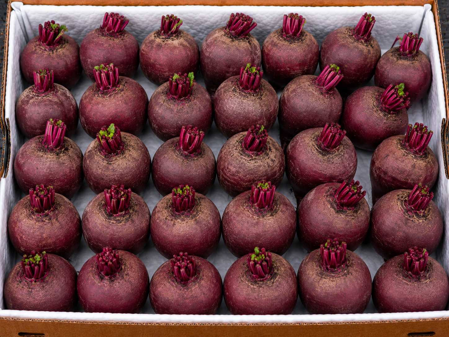 Beetroot