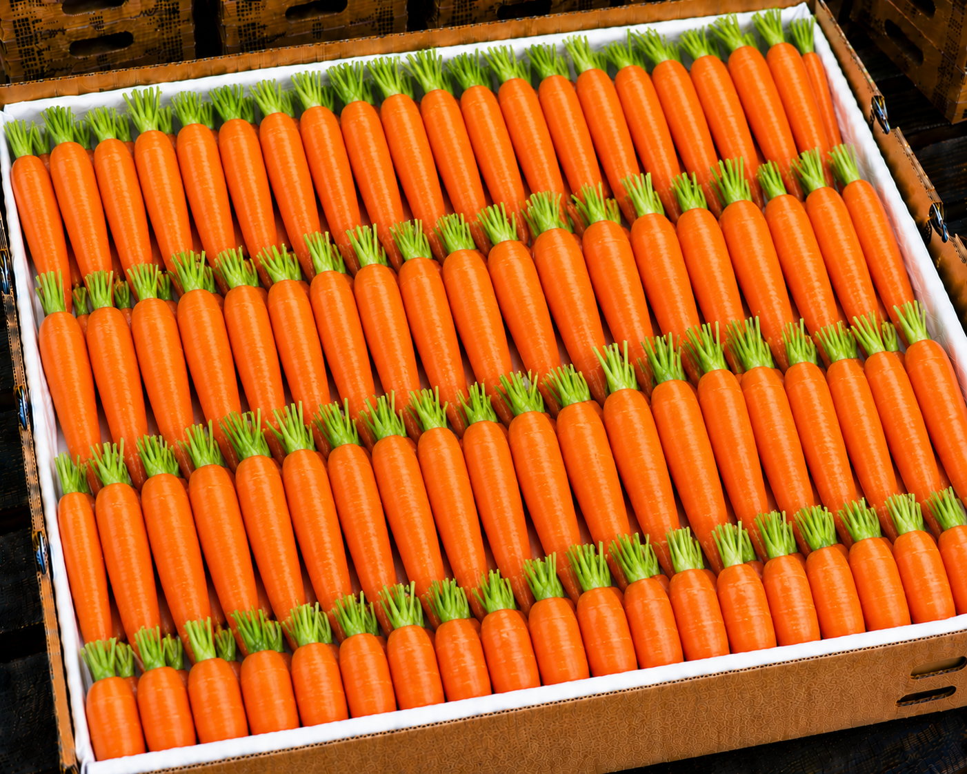 Carrots
