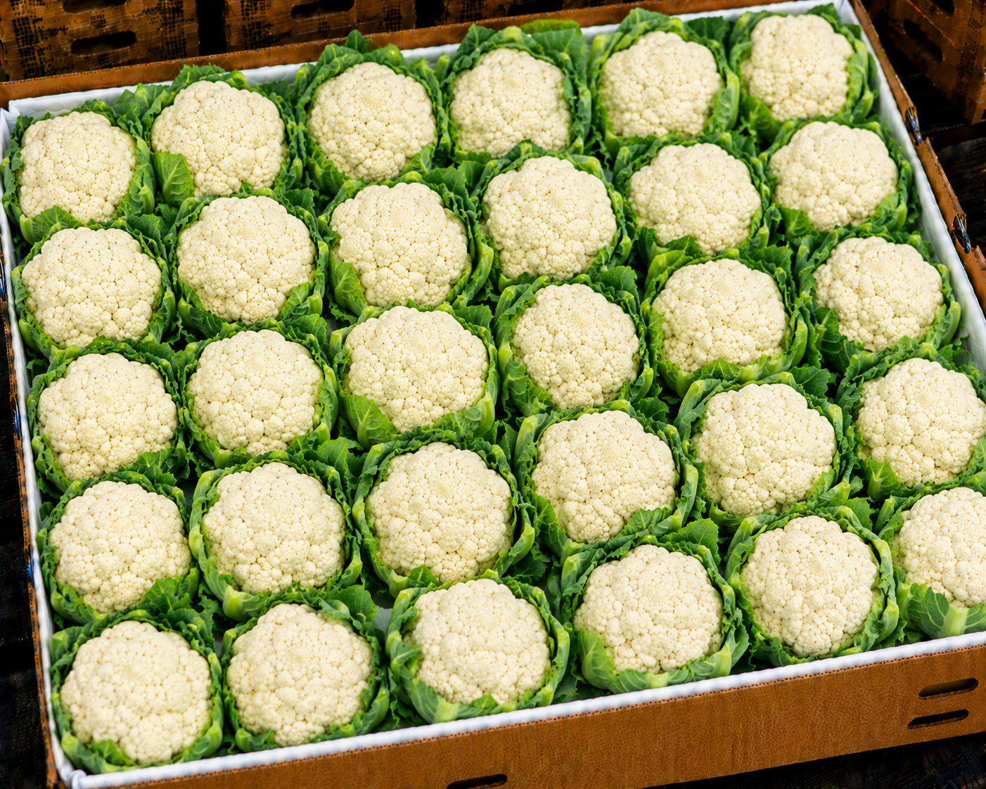 Cauliflower