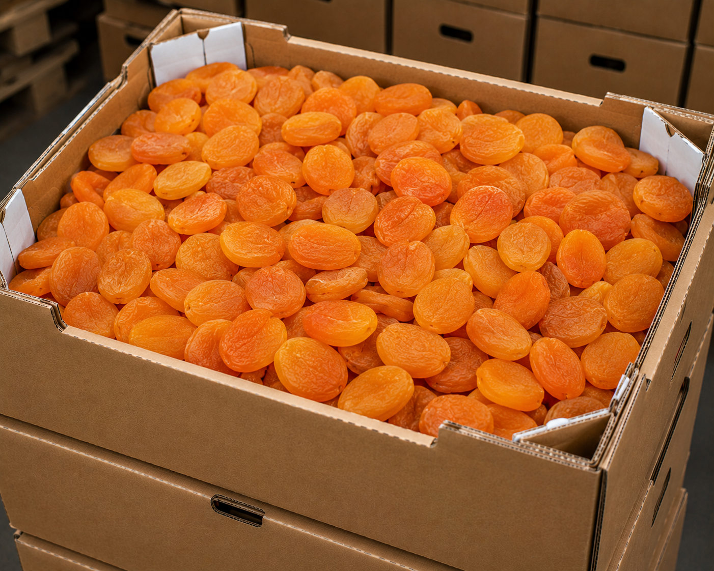Dried apricots