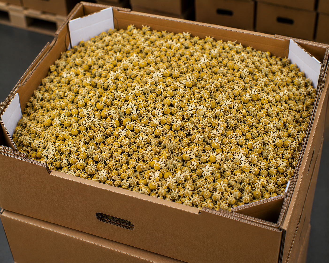 Dried chamomile