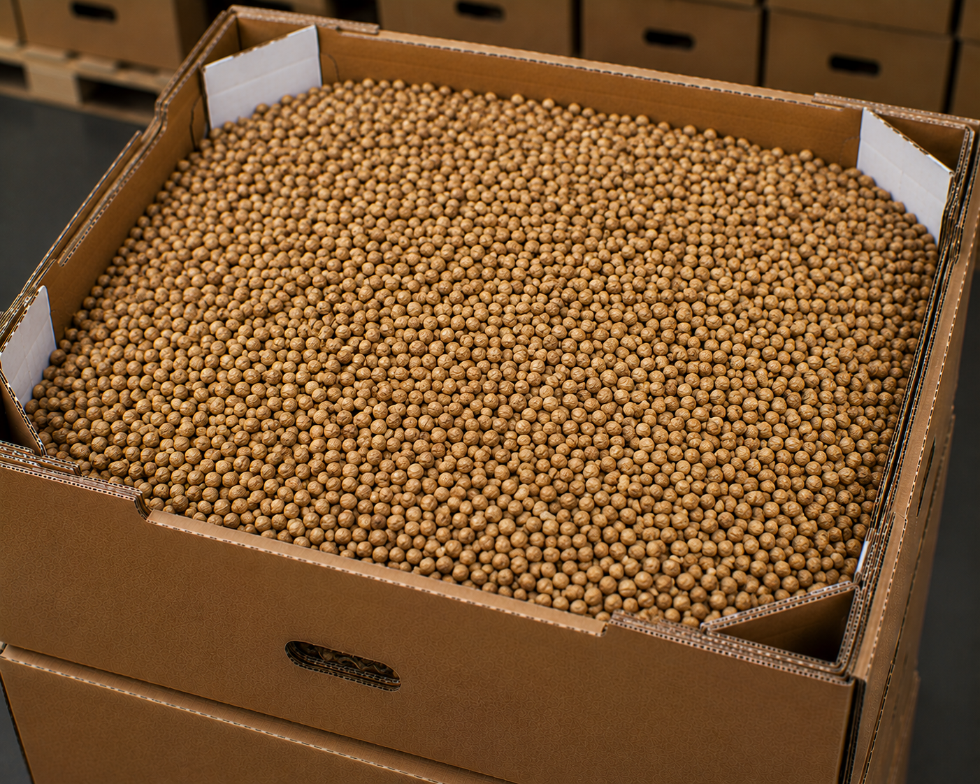 Dried coriander seed