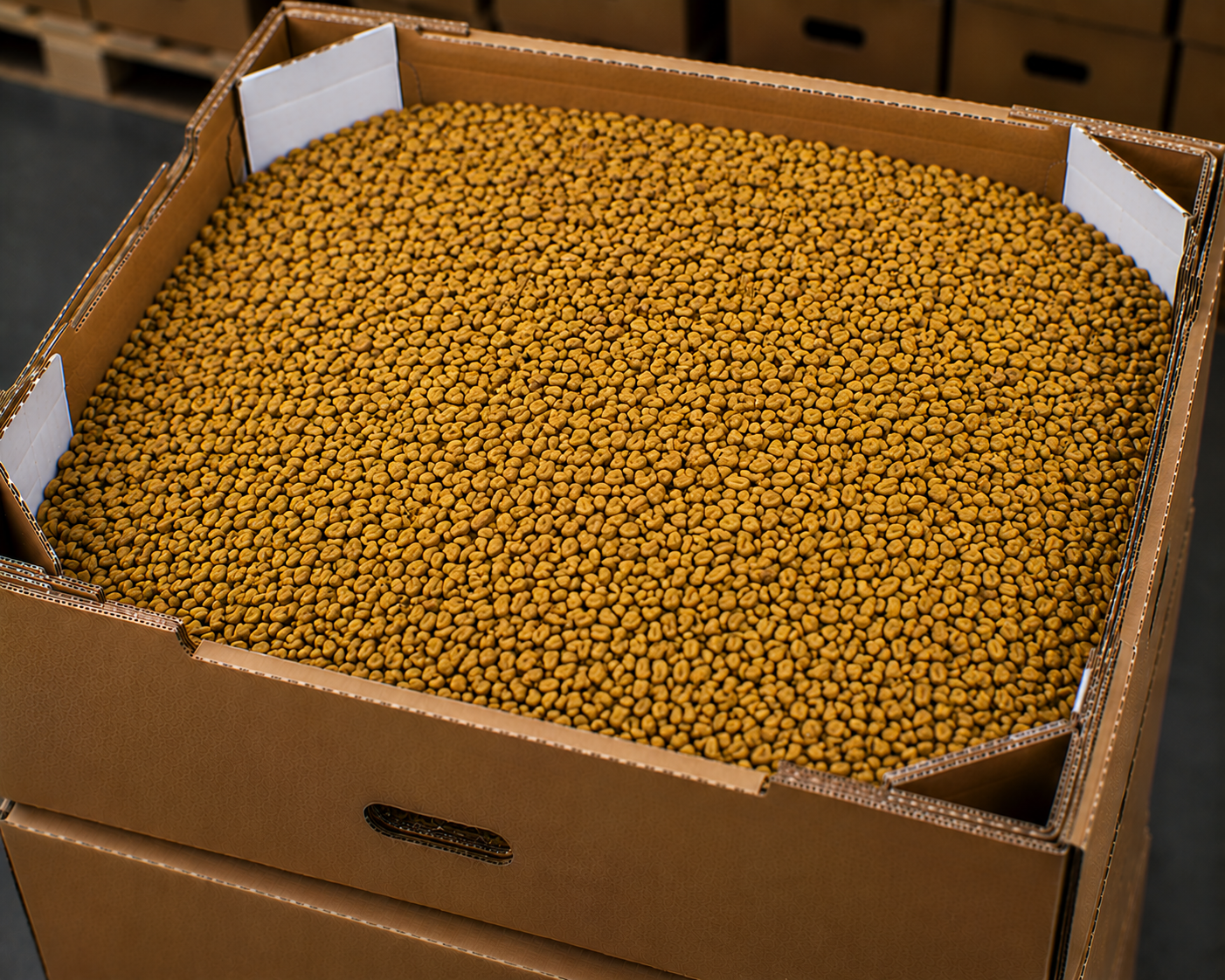 Dried fenugreek