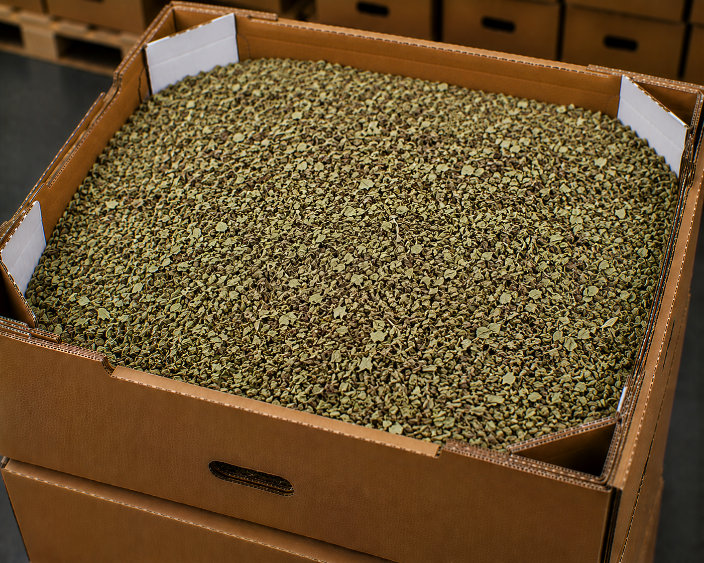 Dried marjoram