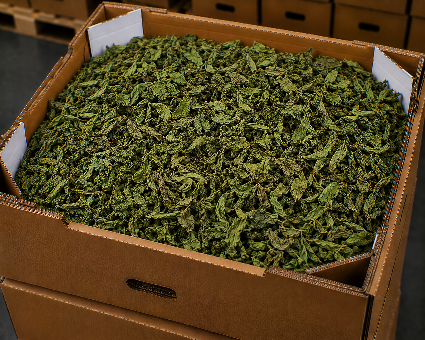 Dried mint