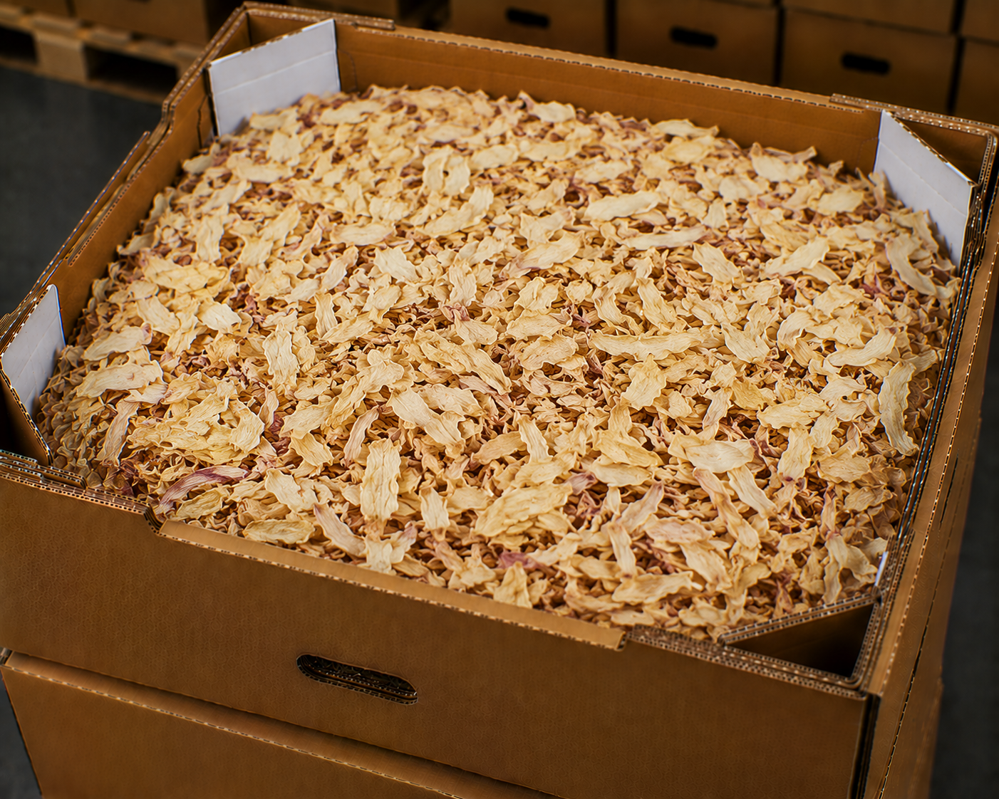 Dried onion