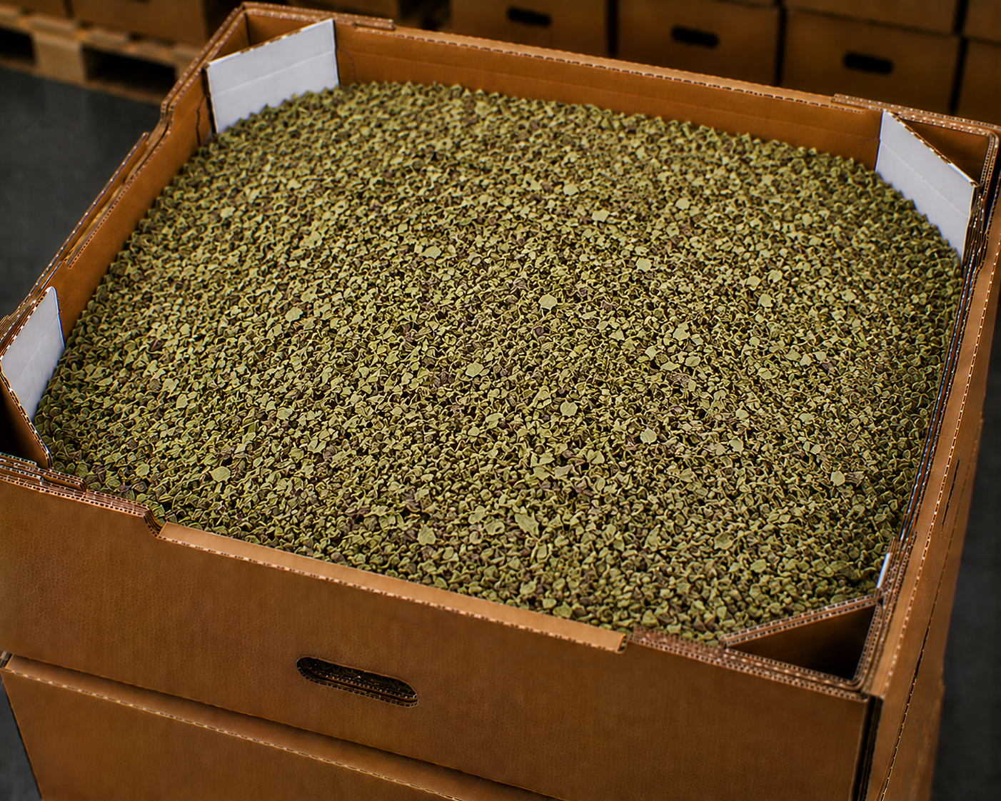 Dried oregano