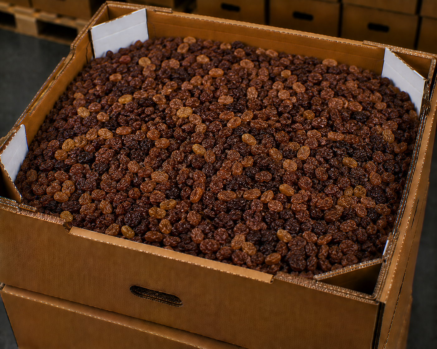 Dried raisins