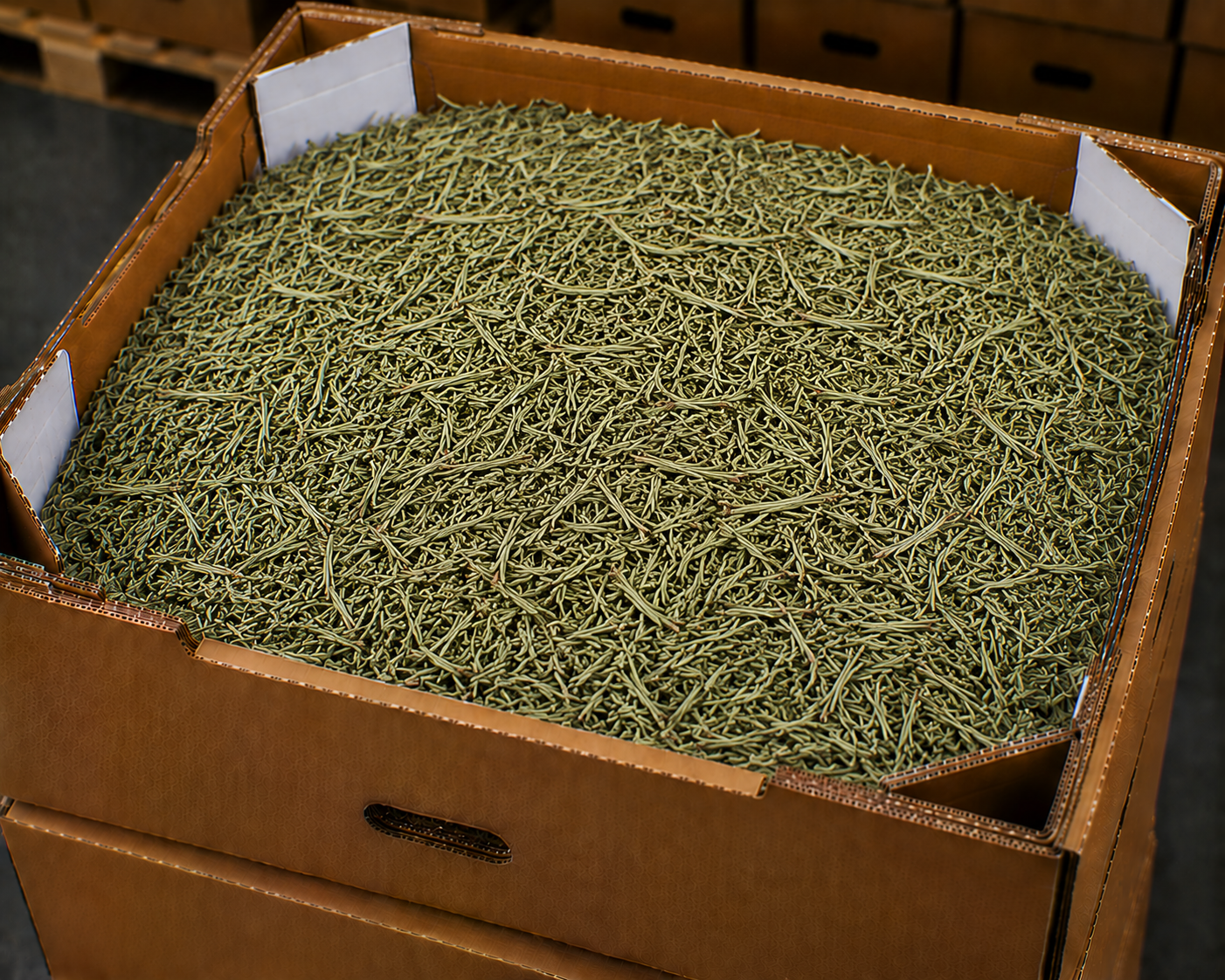 Dried rosemary
