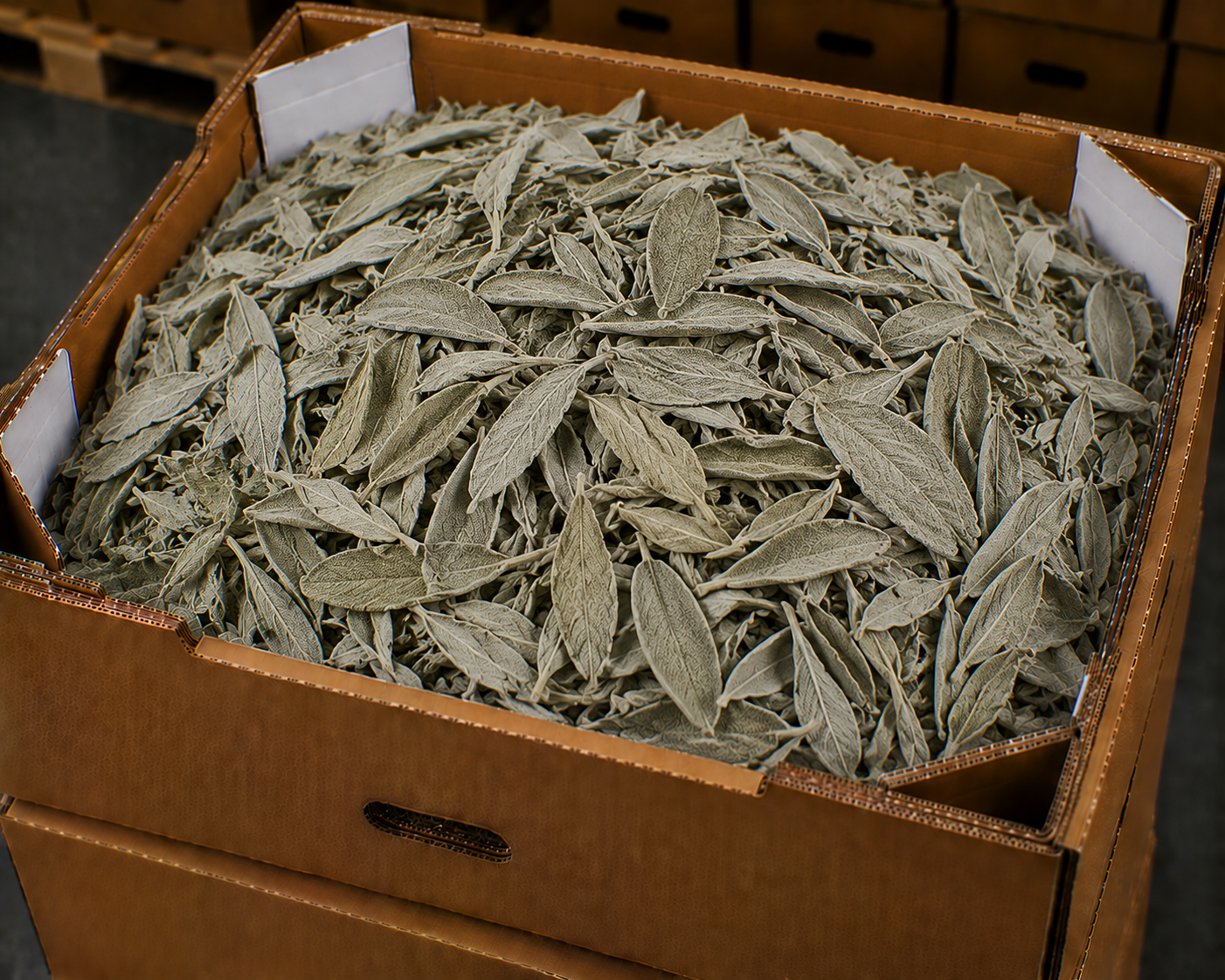 Dried sage