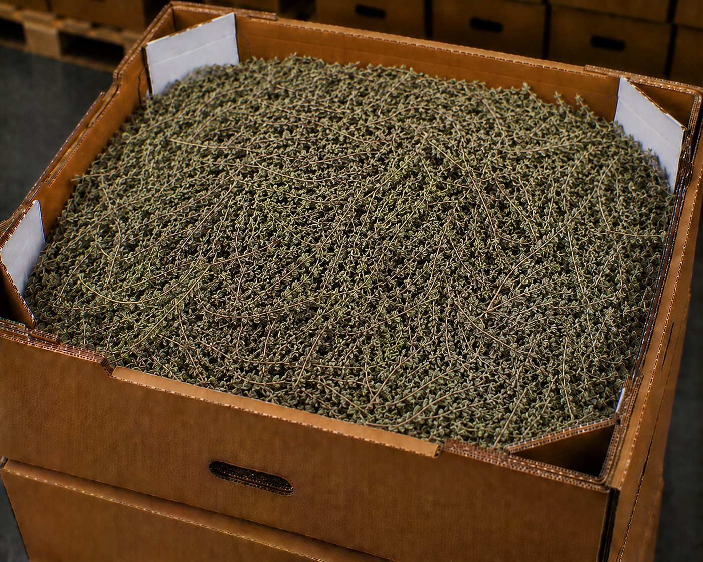 Dried thyme