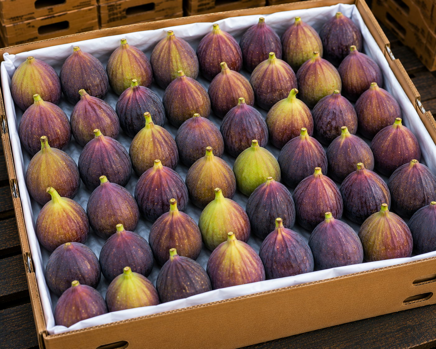 Figs