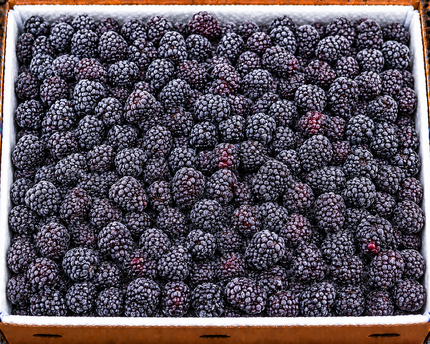 Frozen blackberries