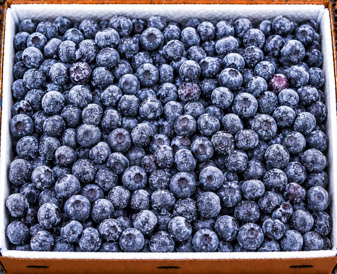 Frozen blueberries