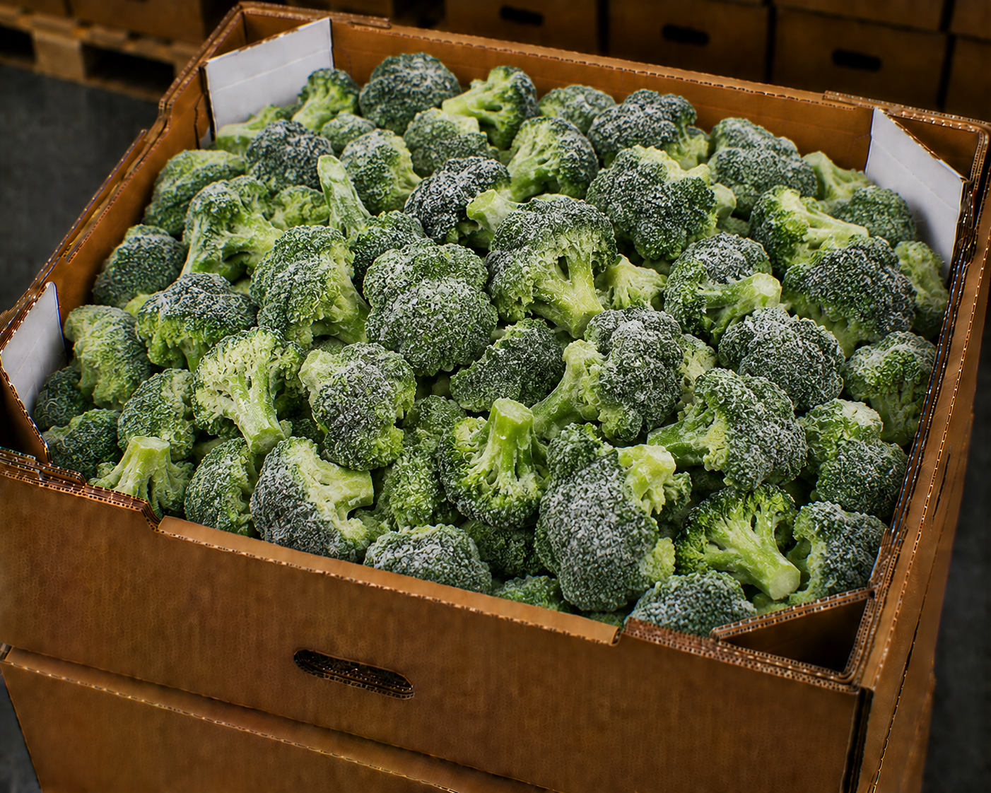 Frozen broccoli