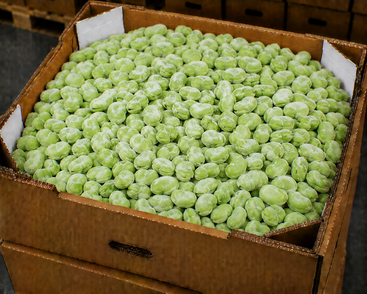 Frozen fava beans