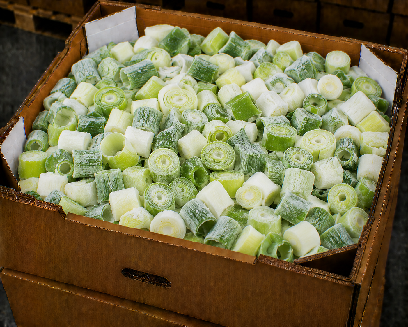 Frozen leek