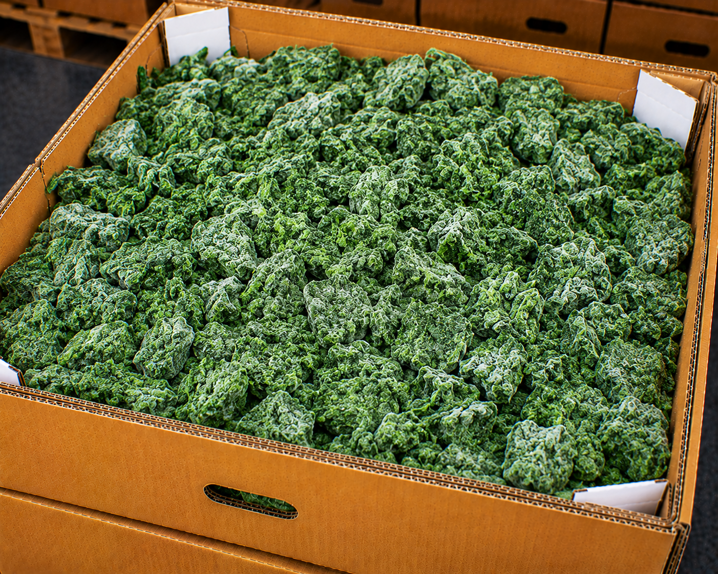 Frozen spinach