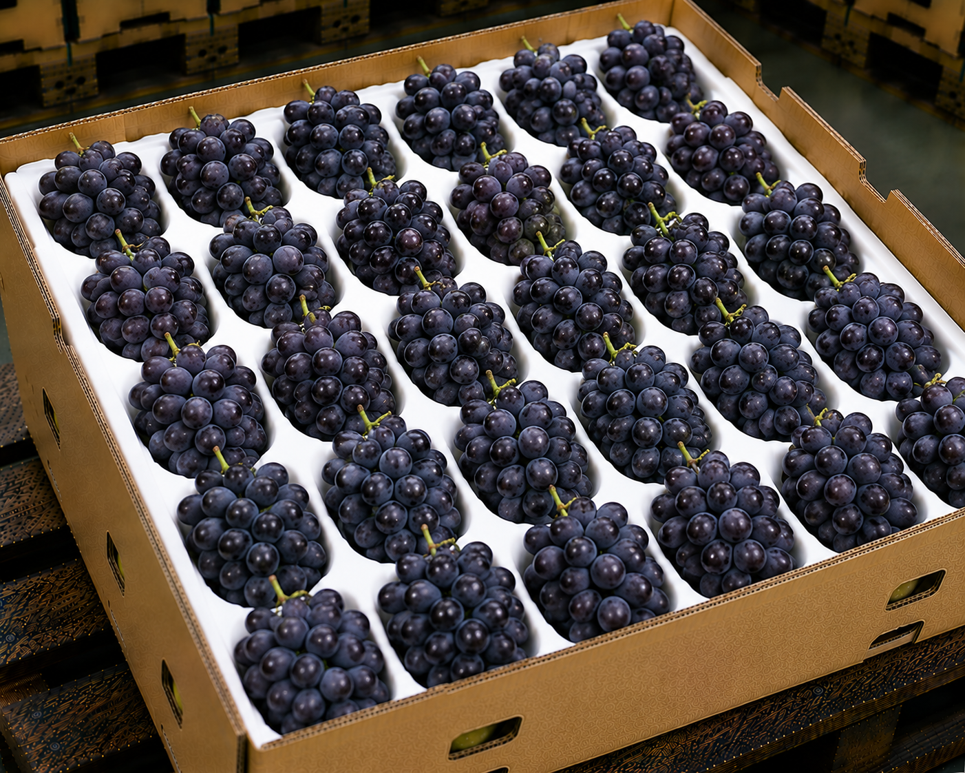 Grapes