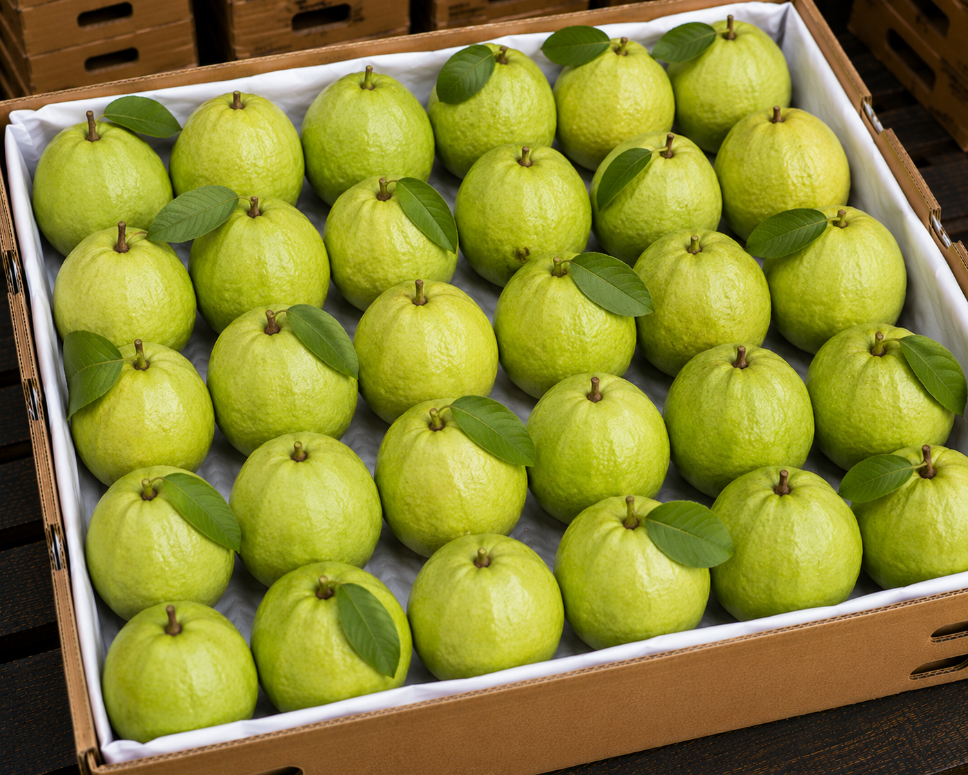 Guava