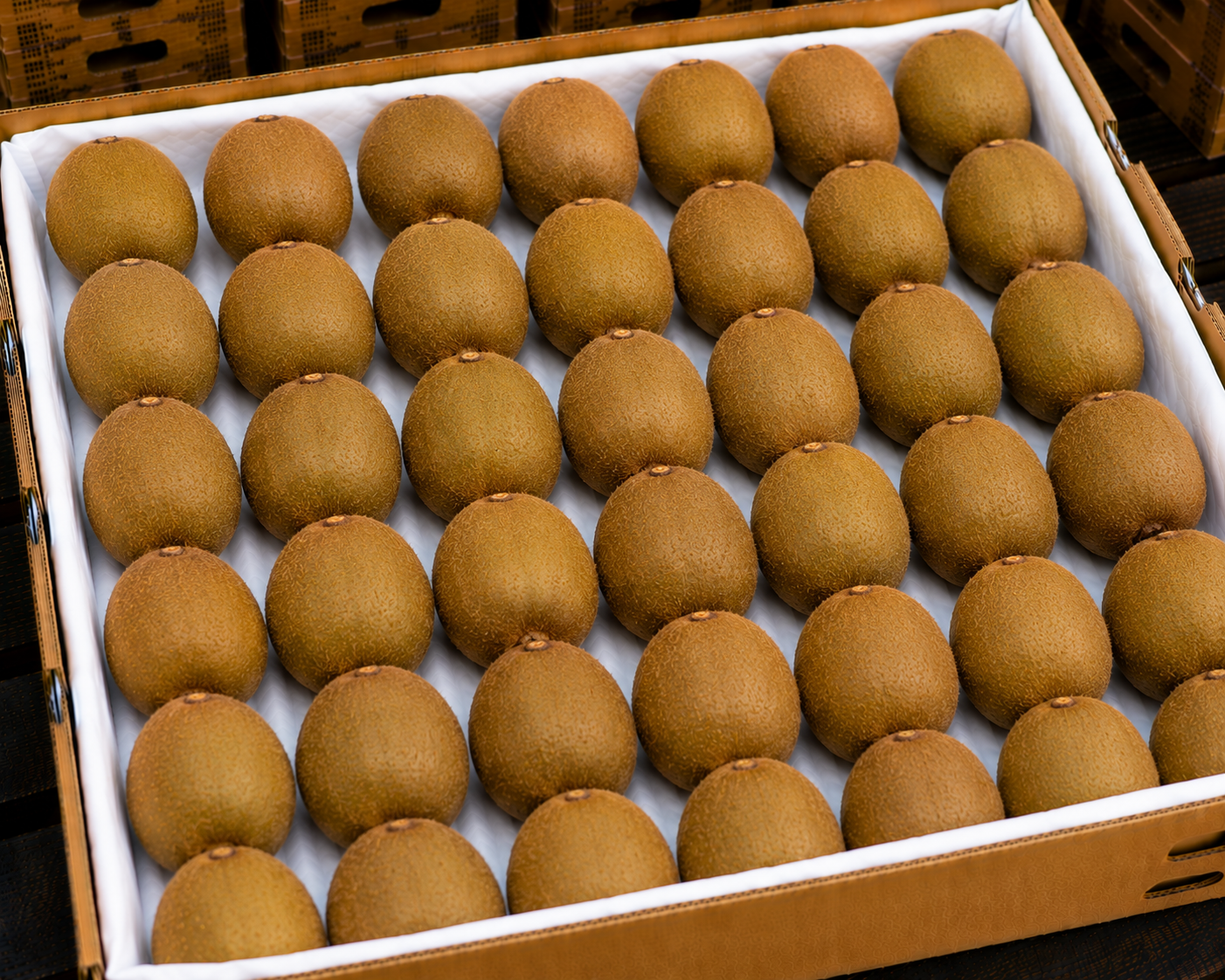 Kiwifruit