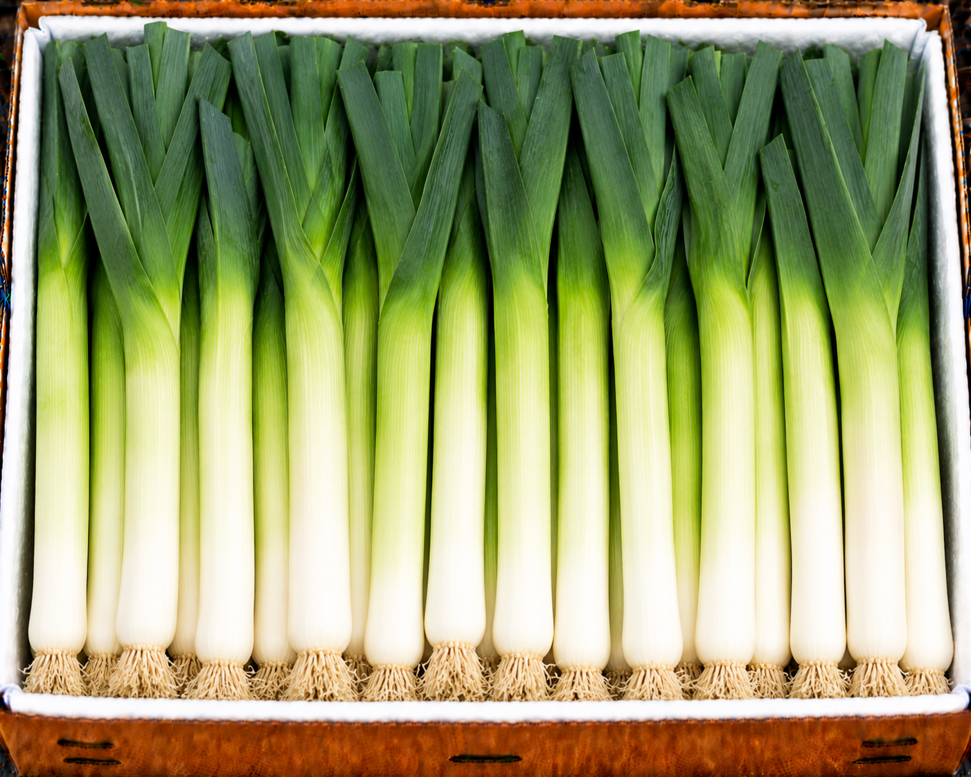 Leeks