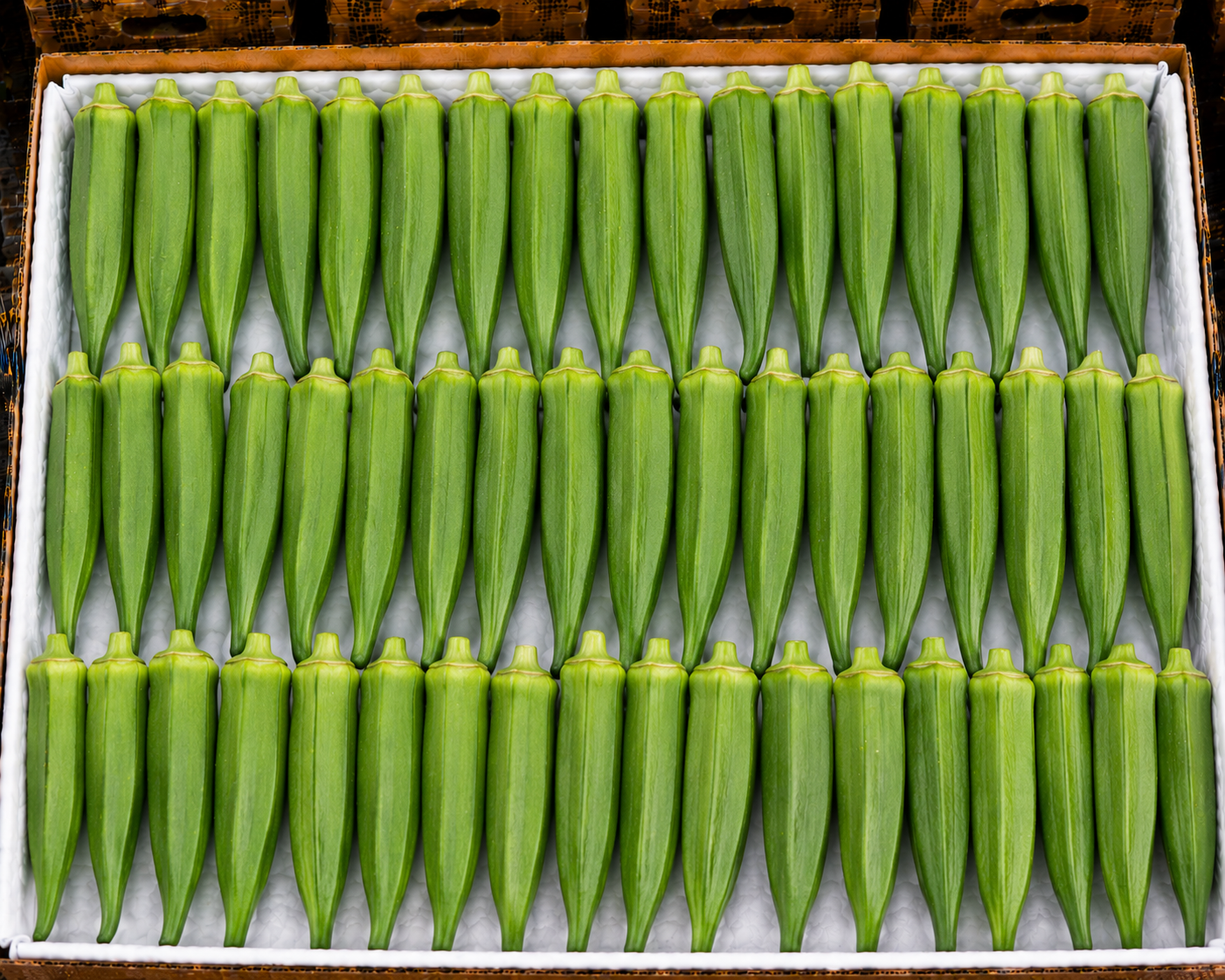 Okra