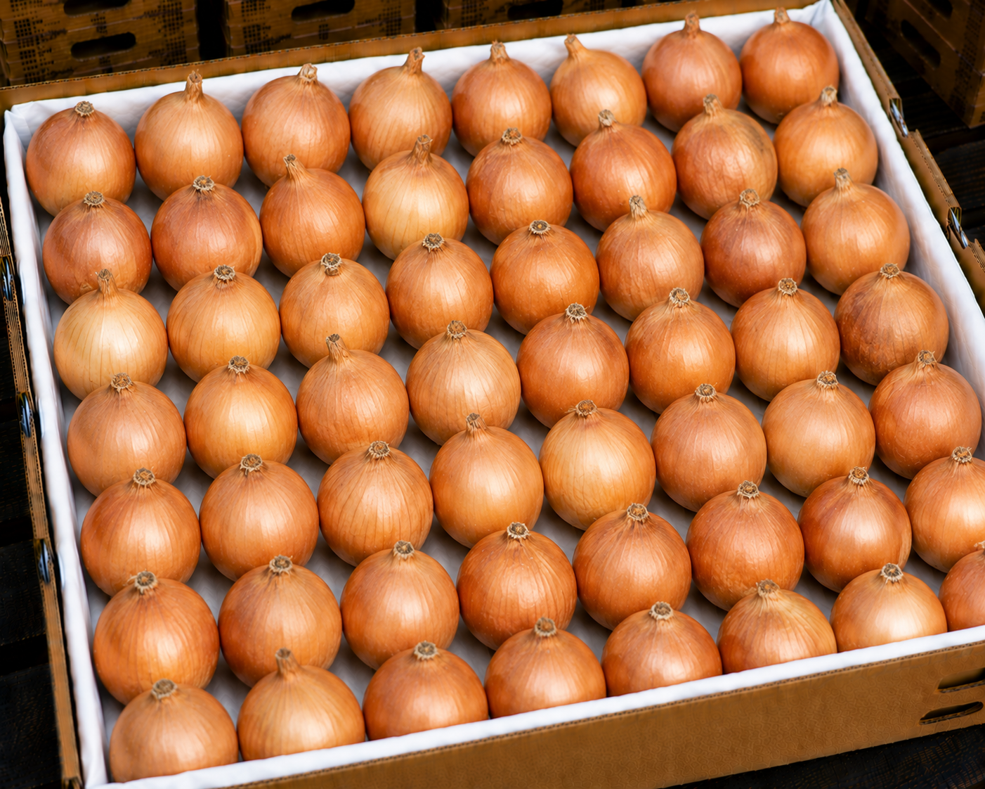 Onions