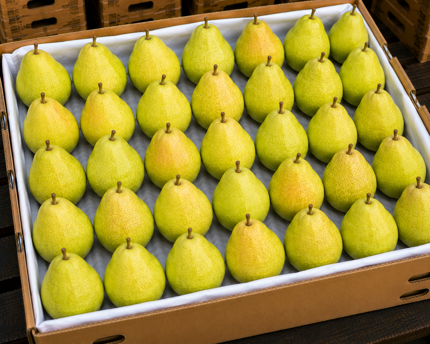 Pears