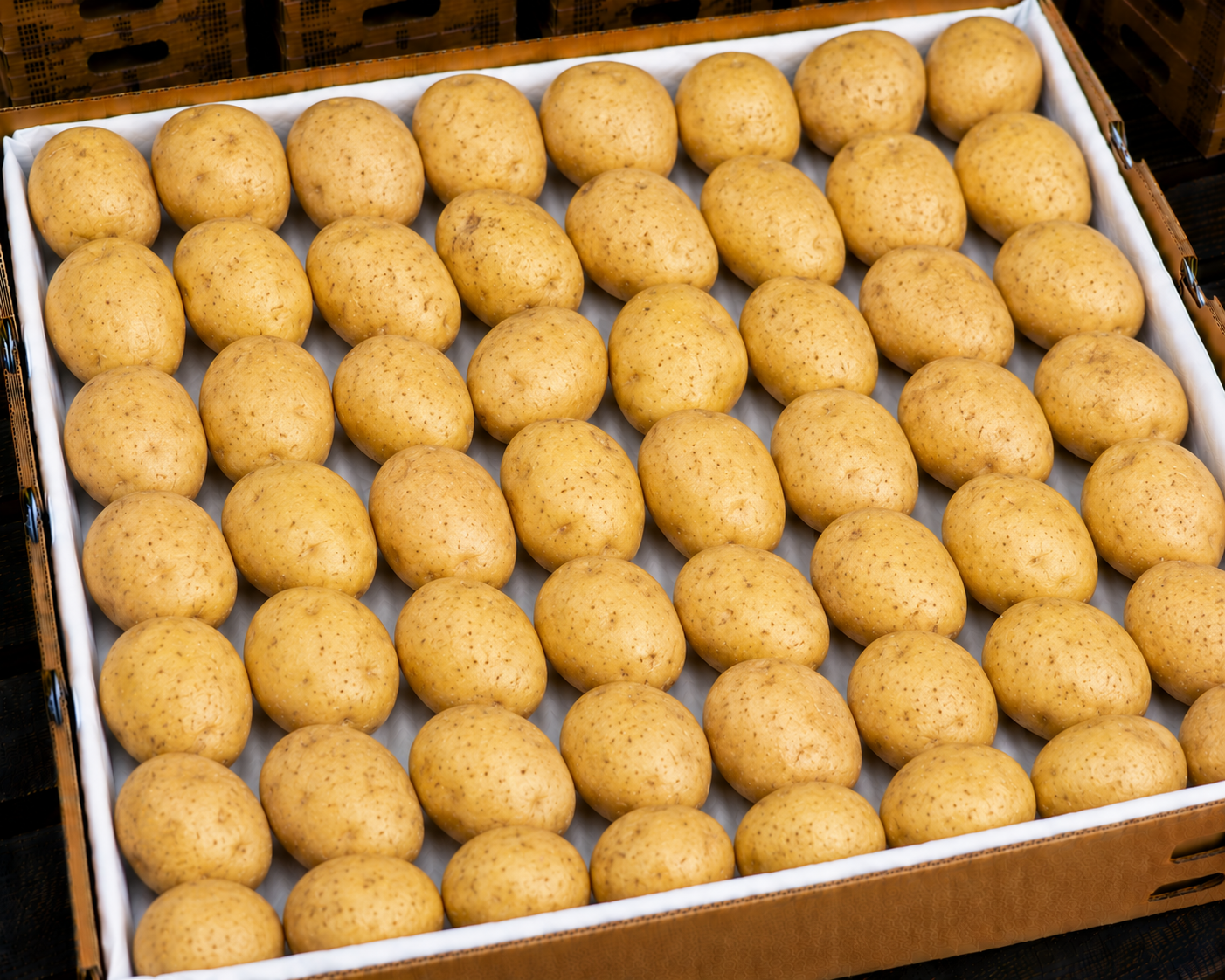 Potatoes