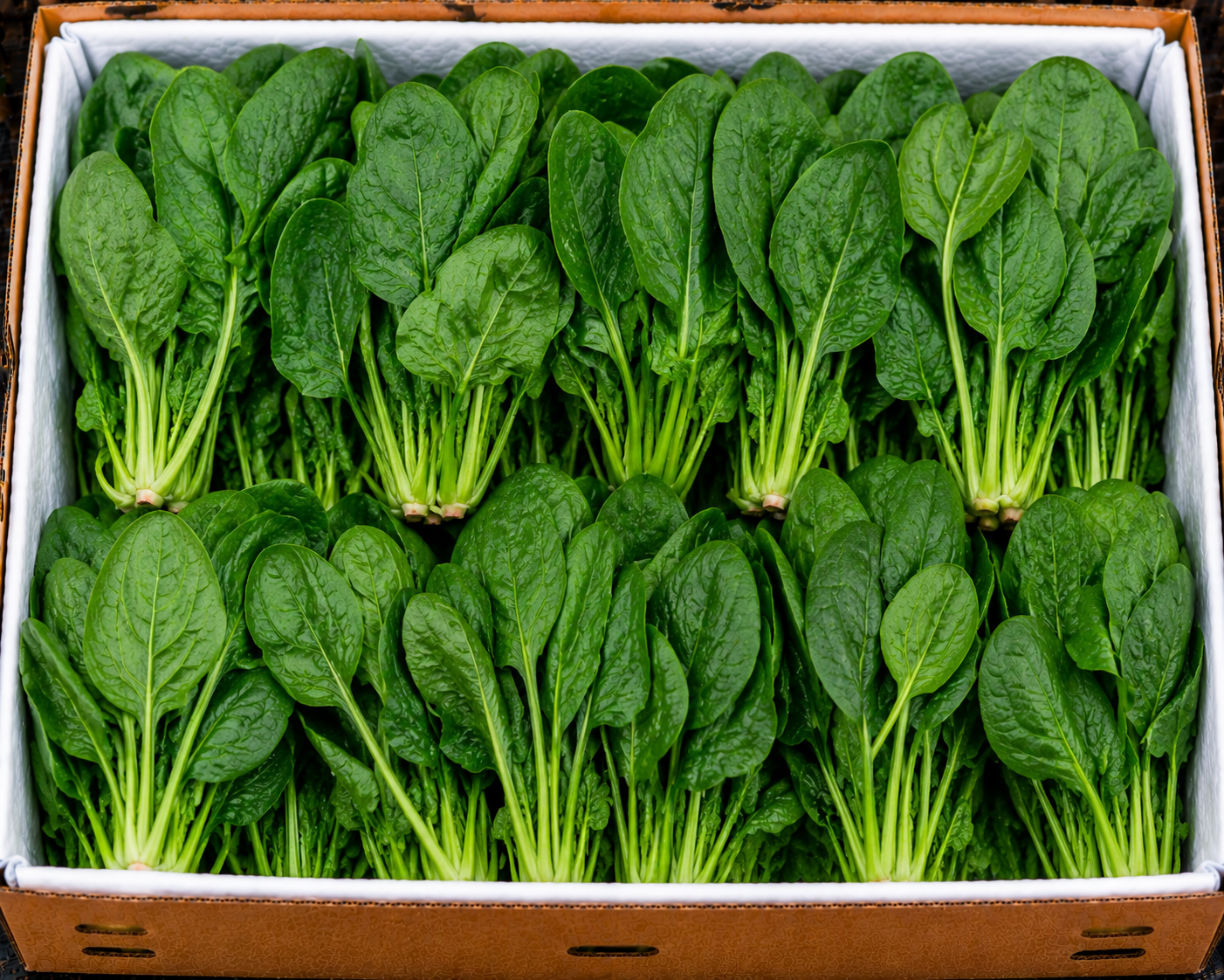 Spinach