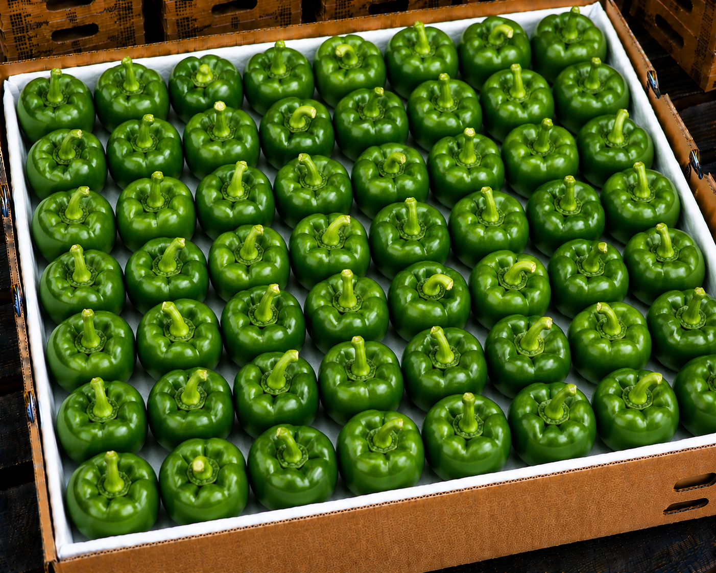 Sweet peppers