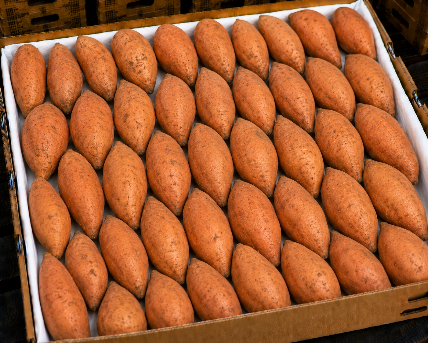 Sweet potatoes