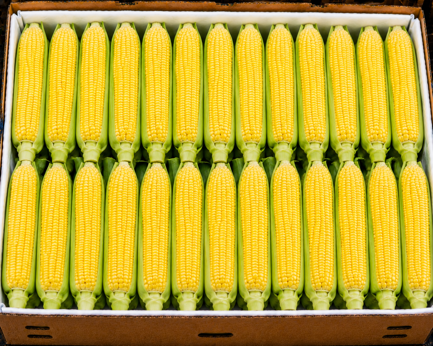 Sweetcorn